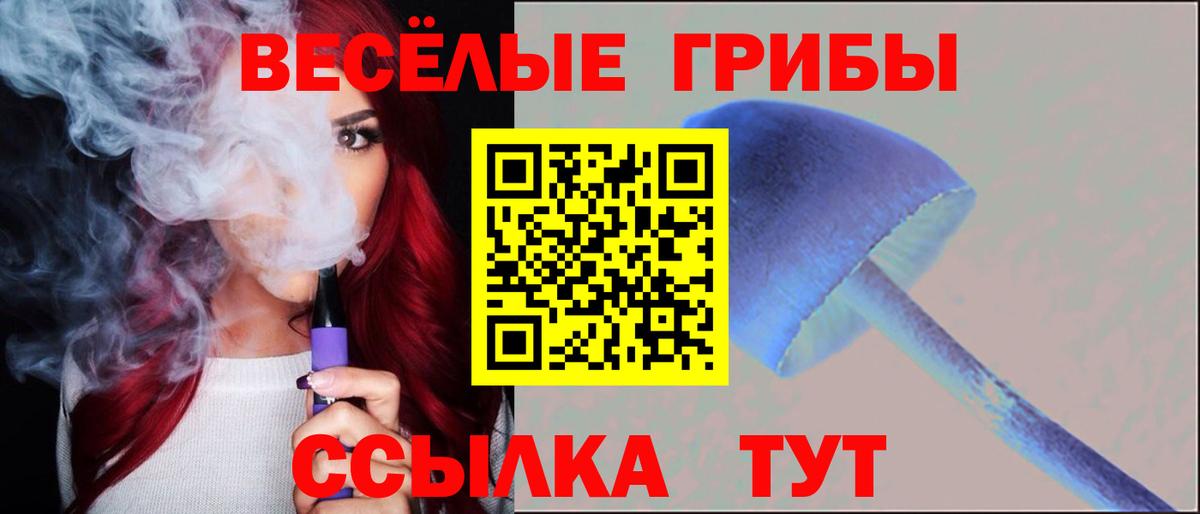 Соль-Илецк  Галлюциногенные грибы MAGIC MUSHROOMS  Вход с VPN 